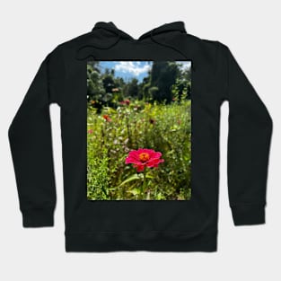 Field of Flowers Hoodie